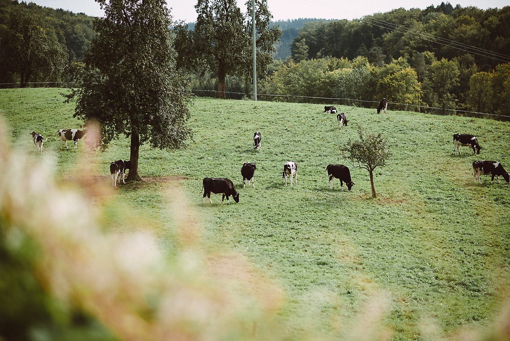 Hochzeitsreportage - Hochzeitsfotograf Stuttgart - Sinnesrausch Fotografie